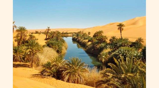 Los Lagos de Ubari, Libia. En el suroeste de Libia se encuentra el Ubari Sand Sea, una extensa área de imponentes dunas de arena en la región de Fezzan. Se puede encontrar aproximativamente 20 pequeños lagos en este lugar donde palmeras parecen anomalías 