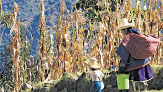 La complejidad de la pobreza