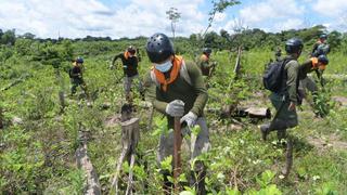 Se eleva precios de droga en Perú por demanda de narcotraficantes de Europa