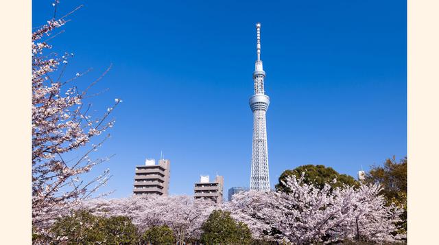SKYTREE, TOKIO (JAPÓN). Acabada en 2012, esta torre de radiodifusión en el barrio de Sumida fue bautizada Tokyo Skytree (Árbol en el cielo de Tokio) por votación popular. Mide 634 metros y tiene dos miradores a 350 y 450 metros de altura.