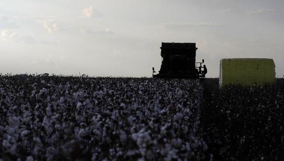 Desde el comienzo de la temporada, en julio, Brasil exportó 1.06 millones de toneladas métricas de algodón, un alza frente al récord anterior de 748,000 toneladas alcanzado en el 2018. (Foto: Reuters)