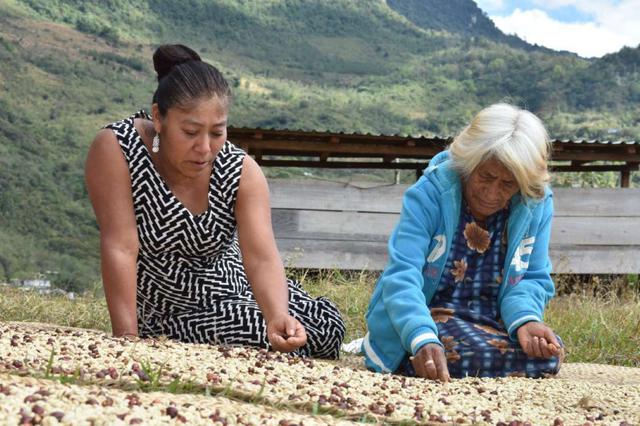 FOTO 8 | La fotografía que recibió el primer premio es esta, del pueblo zapoteco en México. "Las mujeres indígenas de la mixteca oaxaqueña son pilares en la producción del café, realizan tradicionalmente la cosecha, limpieza y selección de los granos. De sus ventas obtienen el sustento familiar. En sus manos, no solo están marcadas las huellas del trabajo arduo sino también la conservación de sus recursos, cultura e historia; en sus ojos reflejan el amor por la tierra, este mismo amor que debe ser conservado y transmitido a las nuevas generaciones".
