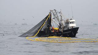 Industria pesquera ha capturado el 28.07% de cuota de anchoveta para zona Norte-Centro