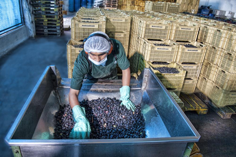 (Fuente: Zofratacna)