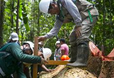 Adex: Trabajo de la mesa forestalpermitirá poner en valor a los bosques peruanos
