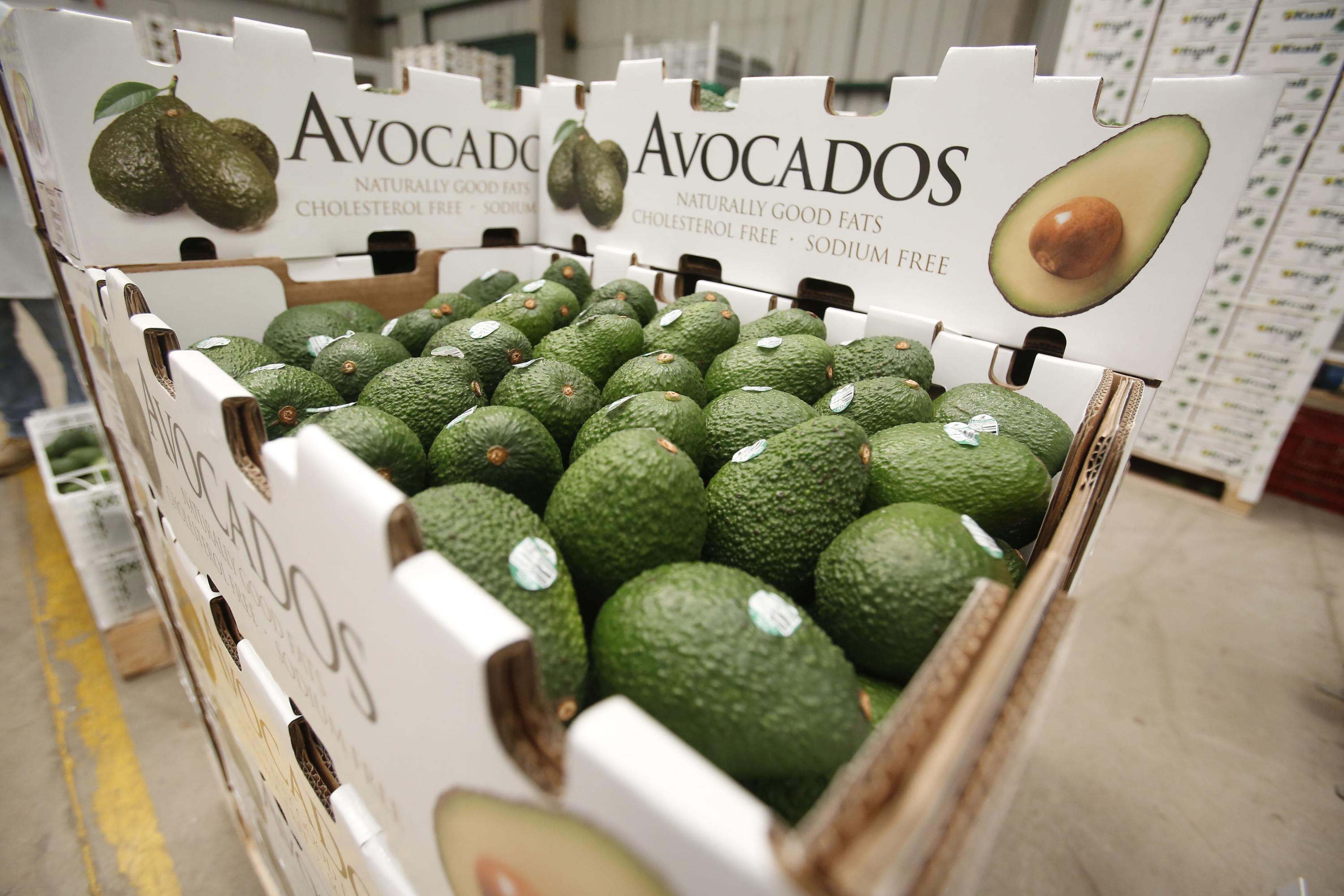 En el 2016 Perú exportó 30,851 TM de palta a EE.UU., en el año 2017 duplicó ese volumen bordeando las 64,000 TM.