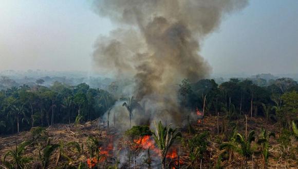Las llamas de un incendio ilegal provocado por unos agricultores devoran árboles en Manaquiri, en el estado de Amazonas. (Foto: AFP/Archivos)