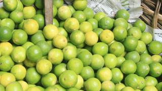 Precio del limón trepa hasta S/ 10 el kilo en mercados