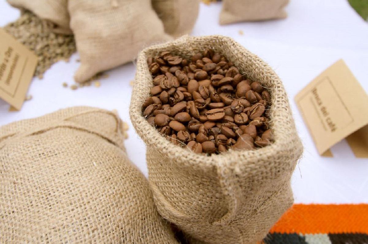 Cultivos de café se reducen cada año, debido a la caída de los precios. (Foto: Senasa)