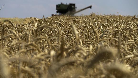 Una cosechadora de granos recolectando trigo cerca de Novoazovsk en las afueras de Mariupol, en medio de la acción militar rusa en curso en Ucrania. (Foto por AFP)