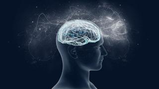 Estimulación eléctrica cerebral puede impulsar la función de la memoria en personas mayores
