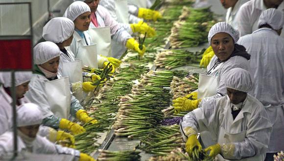 FOTO | ¿En qué productos agrícolas Perú será líder de las exportaciones mundiales? . (Foto: Andina)