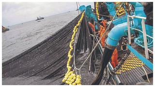 Pesca puede recuperar caída de 39% de este año si Ejecutivo resuelve trabas burocráticas