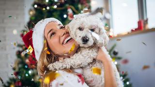 Cinco consejos para cuidar a tu mascota en estas fiestas