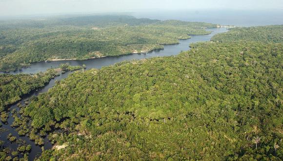 En la Amazonía peruana, la deforestación continúa impactando un año más en su región central, en torno a las regiones de Ucayali, Huánuco y el sur de Loreto. (Foto: EFE)
