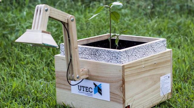 La "Plantalámpara"  fue diseñada para generar luz a través de una planta, convirtiéndola en una alternativa de solución limpia y autosostenible, ya que sólo requiere del uso adecuado de la riqueza natural del bosque.