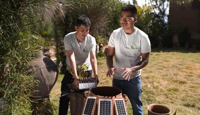“Alinti” es un dispositivo que genera energía eléctrica a partir del uso de plantas y luz solar. (Foto: Difusión)