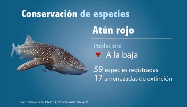 Conservación de especies