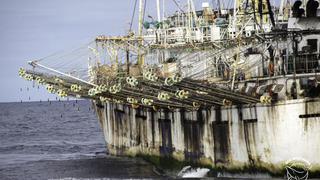 Hay 600 barcos chinos que depredarían 50,000 toneladas de pota de mar peruano