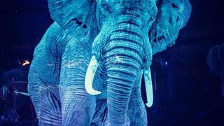 El circo alemán que ha sustituido los espectáculos de animales con hologramas