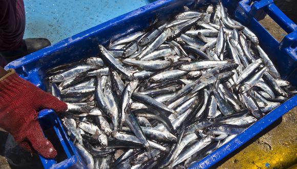 Según la SNI, el sector pesca exporta la quinta parte de lo que envía Chile. (Foto: Produce)