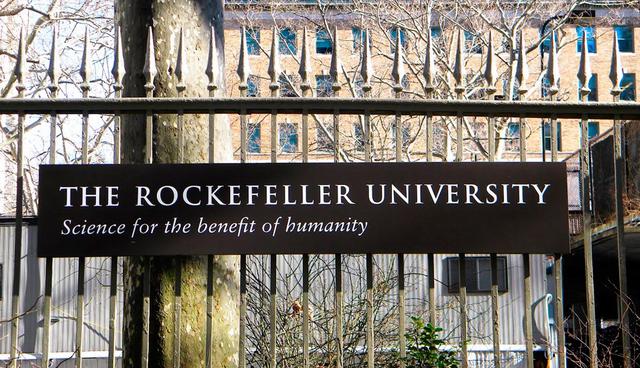 FOTO 18 | Universidad Rockefeller, Estados Unidos. Puntuación total: 211.6