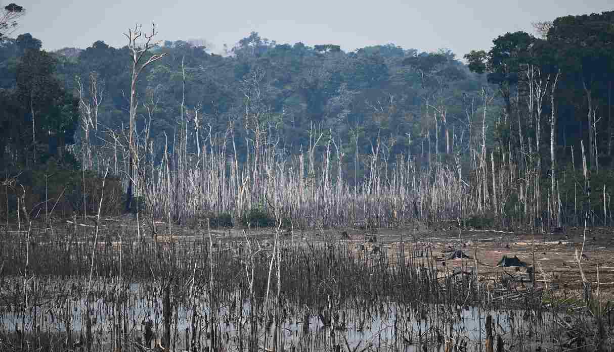 Actividades legales e ilegales afectan la Amazonía. (Foto: AFP)