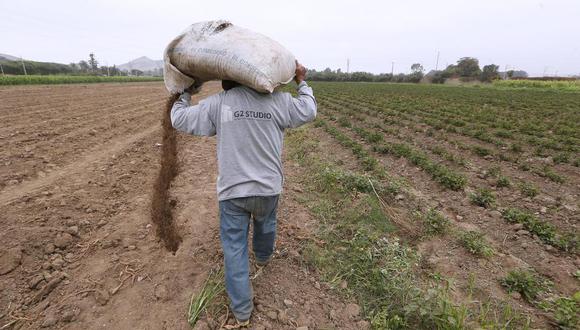 Recién en diciembre se lograría el registro de 1 millón de agricultores que recibirán la urea