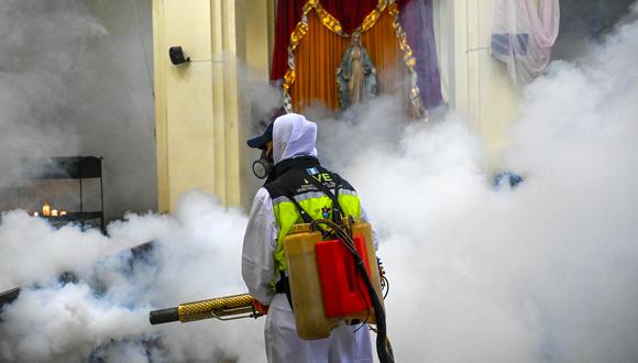 El cambio climático y la necesidad de medidas preventivas son cruciales ante el dengue. Foto: EFE