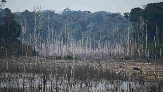 La Amazonía, una nueva alerta para acciones de Brasil: JPMorgan