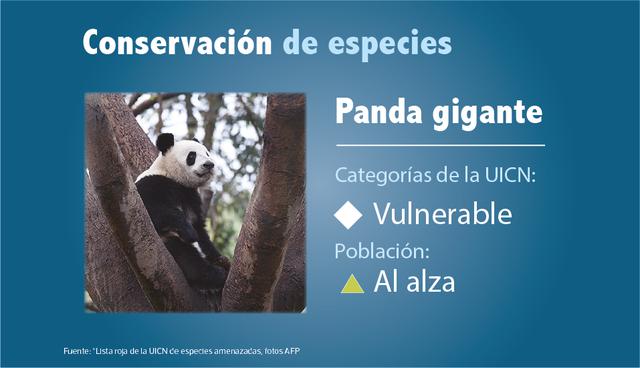 Conservación de especies