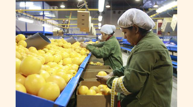 El inicio o aceleración de la producción de productos de exportación contribuiría a reducir el déficit en cuenta corriente, en particular en el año 2016 (3.5%). (Foto: Manuel Melgar)