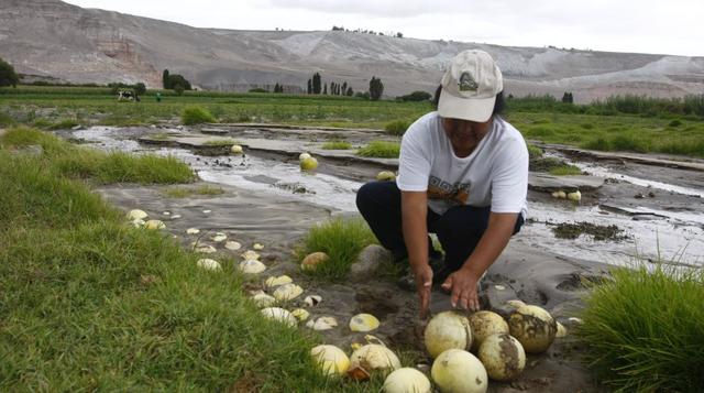 Otro acuerdo al que llegó PPK está relacionado con la pequeña producción campesina y el desarrollo rural que contiene 6 puntos básicos, entre las que destaca: mejorar los actuales programas sociales, poniendo énfasis a los programas productivos teniendo c