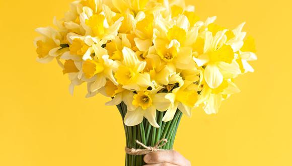 Conoce la canción que da origen a la tradición de regalar flores amarillas | Foto:  freepik.es