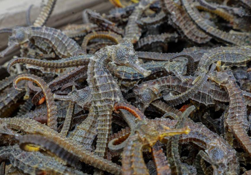 (Foto: Associated Press / AP)