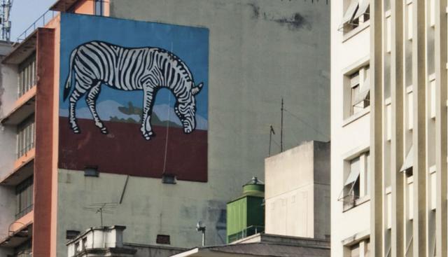 El artista Claudio Tozzi pintó esta cebra sobre uno de los edificios más céntricos de la ciudad de Sao Paulo, en Brasil. (Fuente: Google Art Project: Street Art)