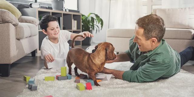 FOTO 7 |  Carreras de obstáculos (actividad física e intelectual) (Foto: iStock)