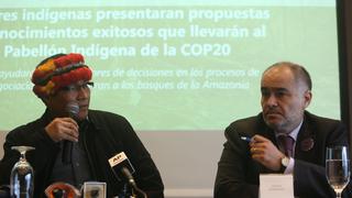 Ley sobre Cambio Climático: consulta previa para reglamento concluiría en junio