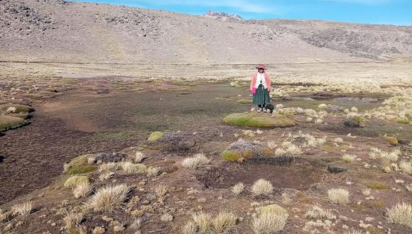 Déficit hídrico en Puno. (Foto: Referencial)