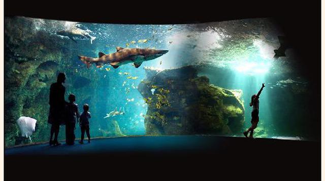 Aquarium La Rochelle, La Rochelle, Francia. “Buena visita”
