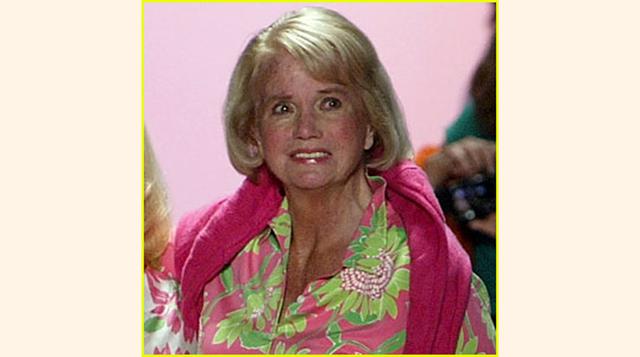 Lilly Pulitzer se casó con Herbert Pulitzer, incursionó en la carrera de la moda y en 1969 se divorció. Para entonces ya tenía una fábrica en Miami y 31 tiendas en EE.UU. Lilly siguió usando el apellido de su primer marido y se retiró en 1984.  Murió en 2