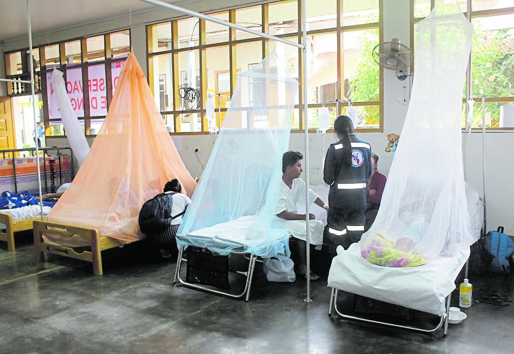 Durante todo 2019, fallecieron 16 personas por dengue en Perú. (Foto: GEC)