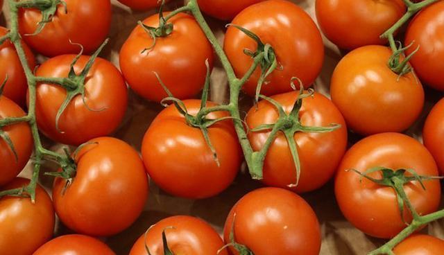 FOTO 4 | Tomates. Están repletos de una sustancia conocida como licopeno, que tiene propiedades antioxidantes. Es muy útil para la prevención de enfermedades como el cáncer o el accidente cerebro-vascular.