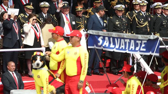 Dos perros de PPK desfilaron y se robaron el show. Lorenzo, un boyero suizo que fue a la cabeza de la Policía Canina. Y el segundo fue Colita (en la imagen), otro boyero suizo de dos años de edad que hizo su paso con la Policía de Salvataje (foto: Andina)