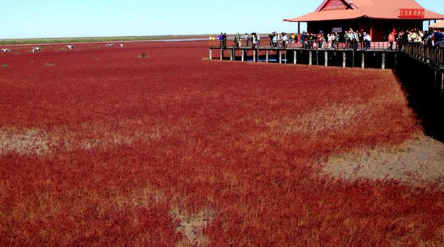 3.      Playa roja (China) (Foto: AFP/Getty)
