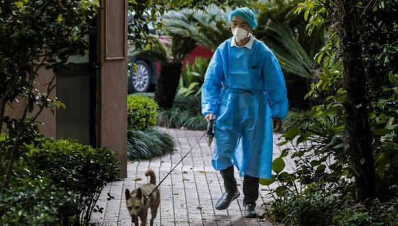 Un miembro de seguridad pasea a un perro encerrado en una comunidad residencial bajo cuarentena en Shanghai, China. EFE/EPA/ALEX PLAVEVSKI