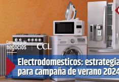 Electrodomésticos frente al verano: proyecciones y estrategias para una buena campaña