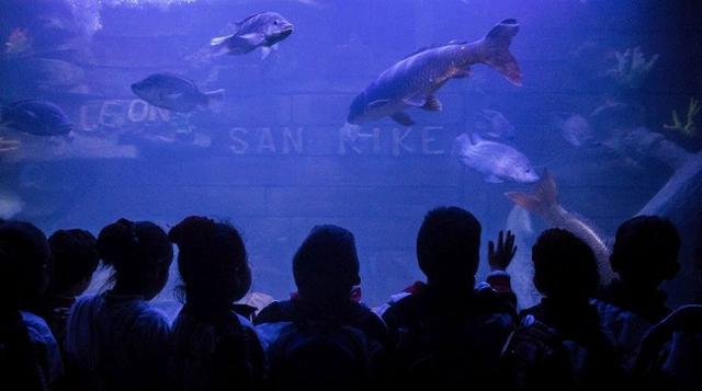 Martes. El Gobierno canceló la construcción del Gran Acuario Nacional en la Costa Verde. El proyecto de concesión, que había sido anunciado el 2014 por el anterior Gobierno de Ollanta Humala, iba a demandar una inversión de US$ 38 millones (foto: Gestión)