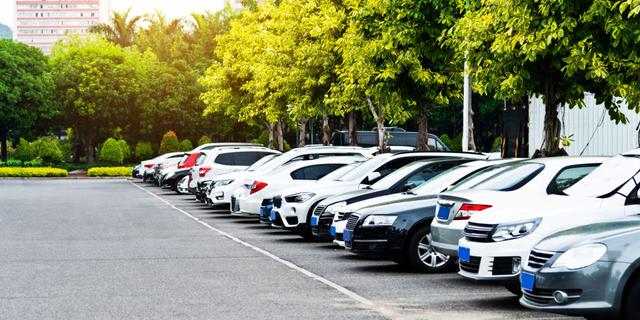 FOTO 5 | Vigila lo que hay encima del coche
Debes igualmente fijarte lo que hay encima de tu coche aparcado. Si lo dejas debajo de un árbol, la savia y las cacas de los pájaros pueden dañar gravemente la pintura del vehículo. (Foto: Getty Images).