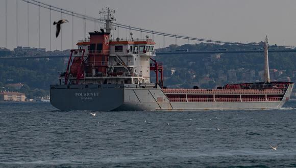 El barco de bandera turca Polarnet que transporta toneladas de grano de Ucrania navega a lo largo del Estrecho del Bósforo pasando por Estambul el 7 de agosto de 2022, después de ser inspeccionado oficialmente. (Foto: Yasin AKGUL / AFP)